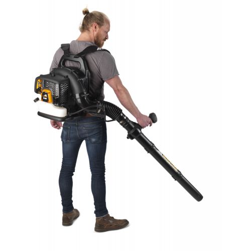 Soplador de mochila GB355BP