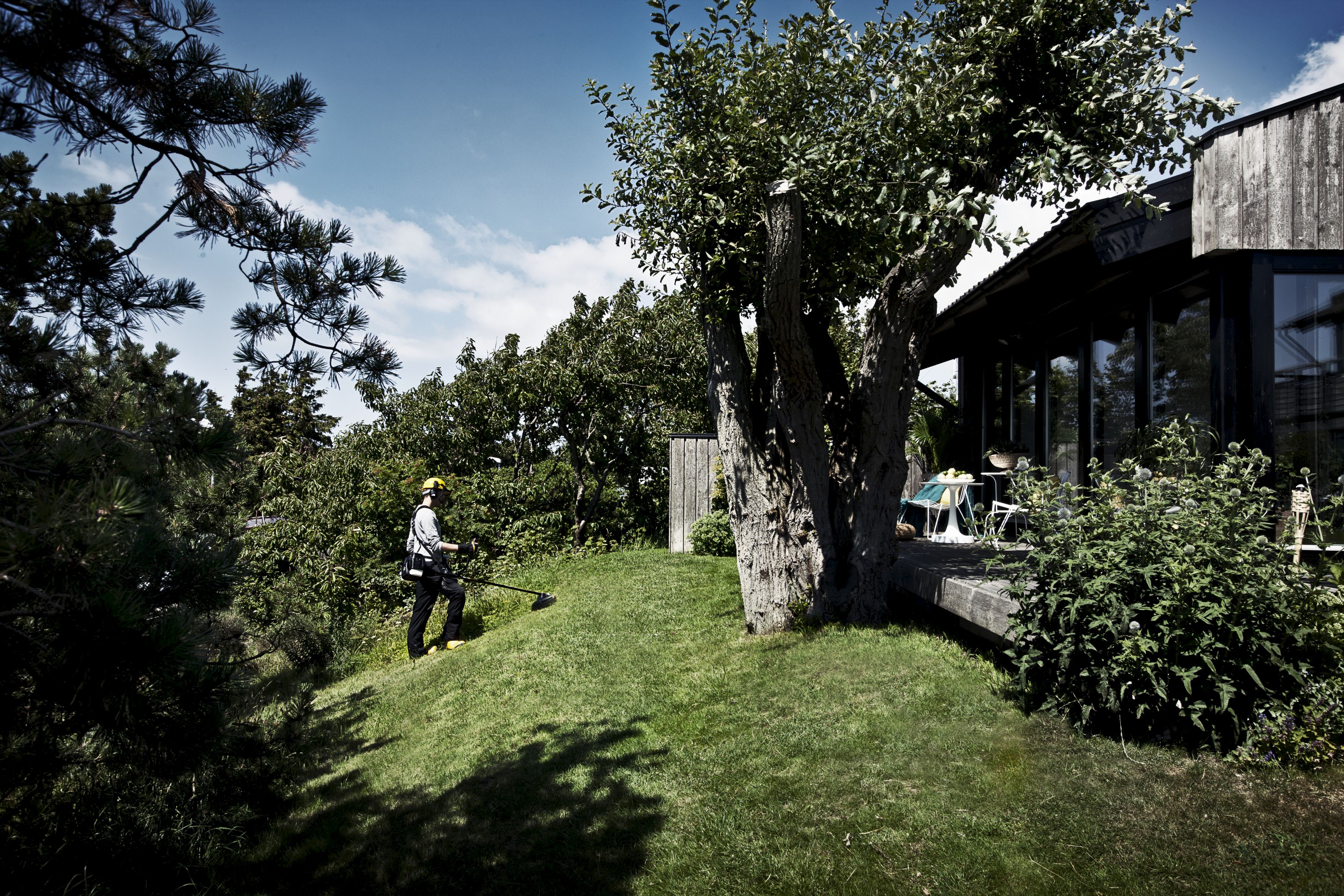 Desbrozadora McCULLOCH B40 B ELITE