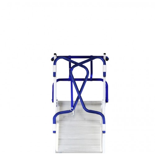 TELEFLY