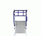 TELEFLY