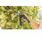 Podadora a batería EasyPrune