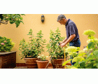 Bombas a batería para el agua de la lluvia GardenPump 18V-2000