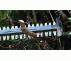 Tijeras cortasetos a batería GHE 18V-60 (II)
