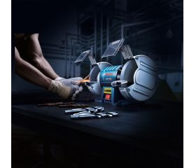 Esmeriladora doble GBG 60-20