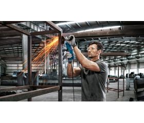 Amoladora GWS 9-125 P