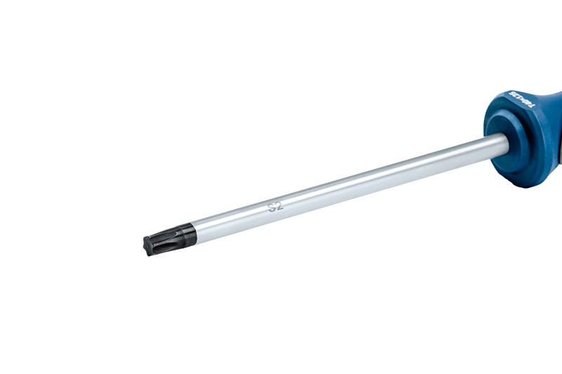 Destornillador TX40x125 mm Professional