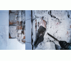 Cincel de pala PRO SDS plus-5C, 40 x 250 mm
