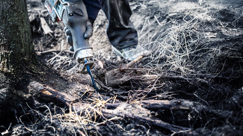 Hoja de sierra sable EXPERT 'Tough Wood' S 1242 KHM, 1 unidad