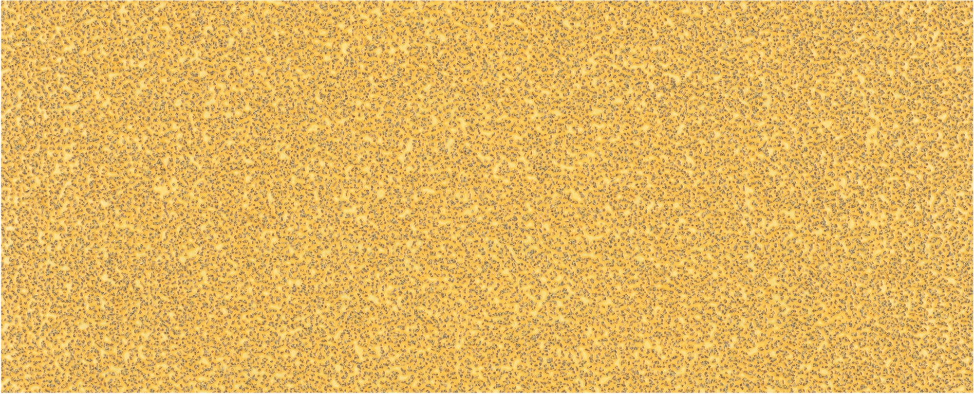 Papel de lija EXPERT C470 sin orificios para lijadoras orbitales de 93 x 230 mm, G 40, 10 unidades