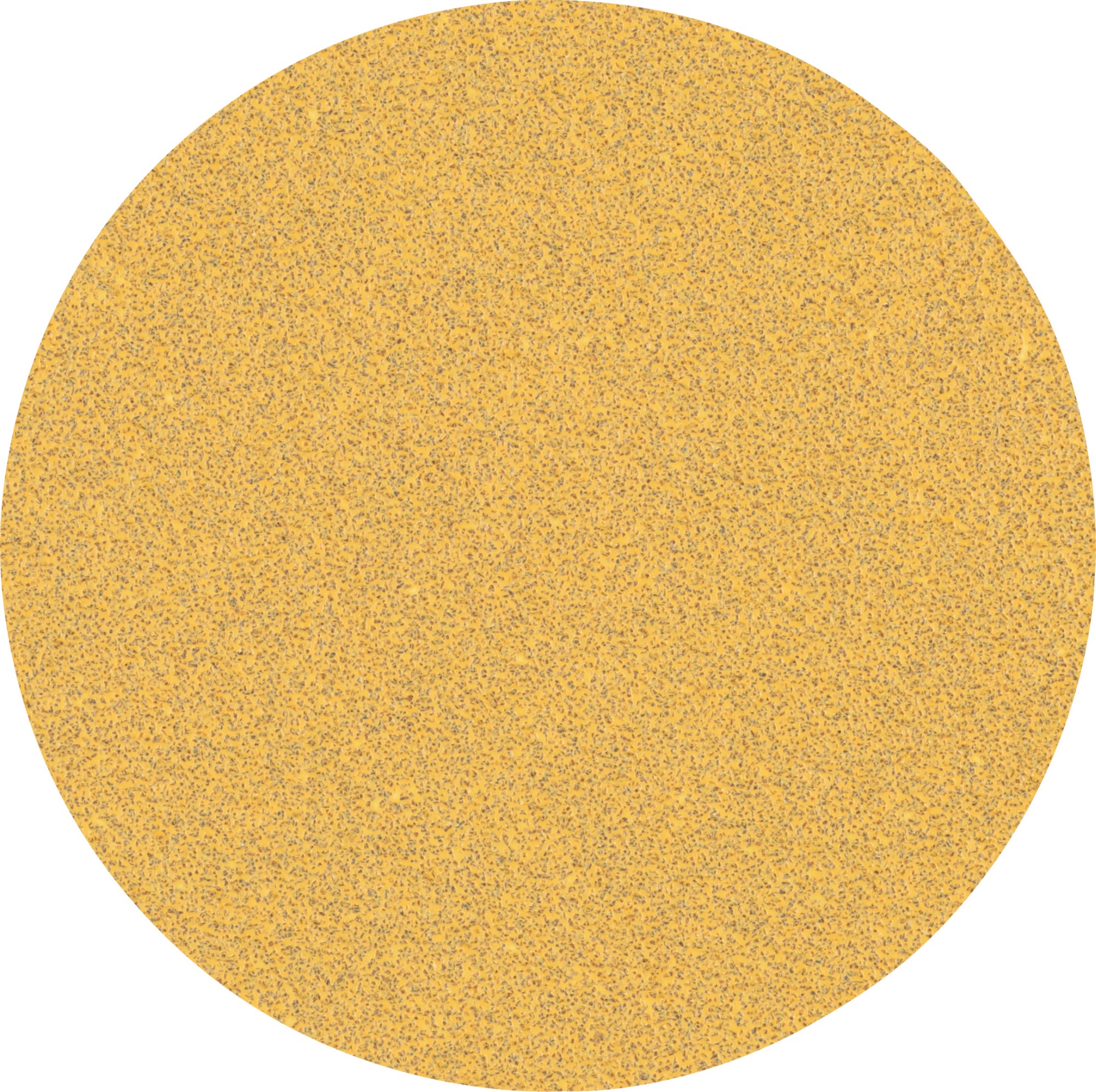 Papel de lija EXPERT C470 sin orificios para amoladoras y taladros de 125 mm, G 60 50 unidades