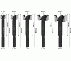 Set de brocas Forstner EXPERT Wood, 5 unidades
