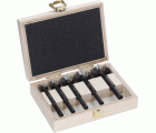 Set de brocas Forstner EXPERT Wood