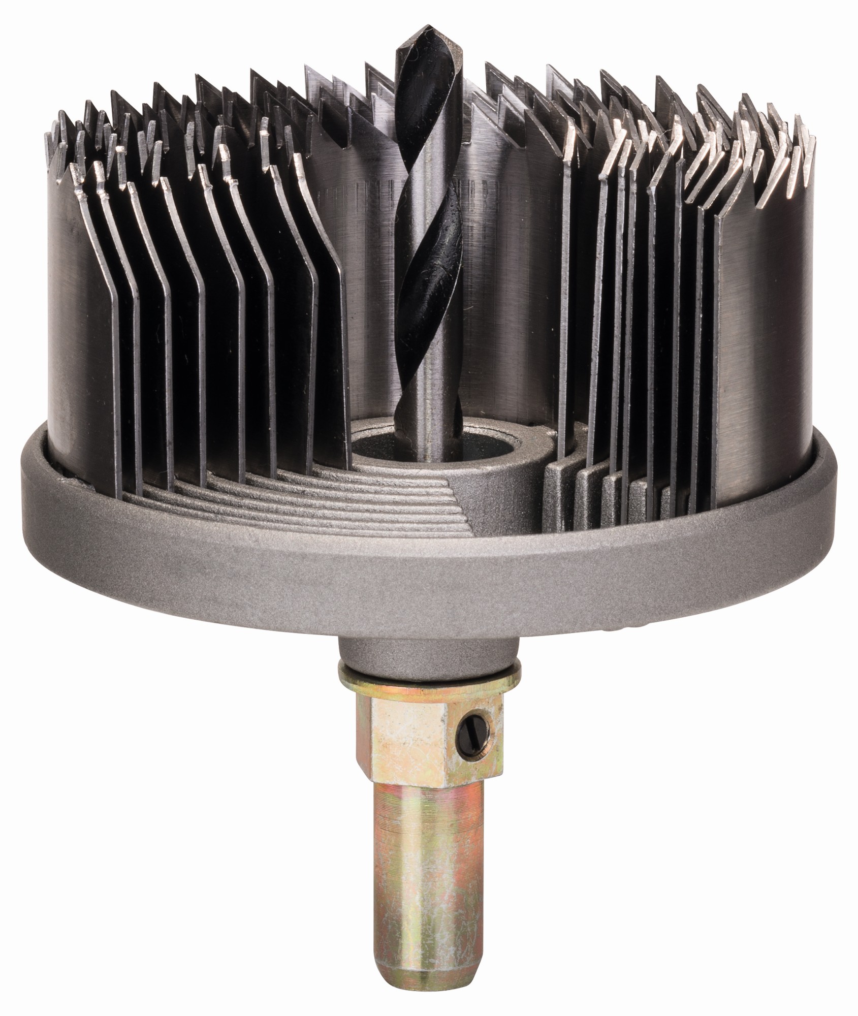 Set de 8 coronas de sierra