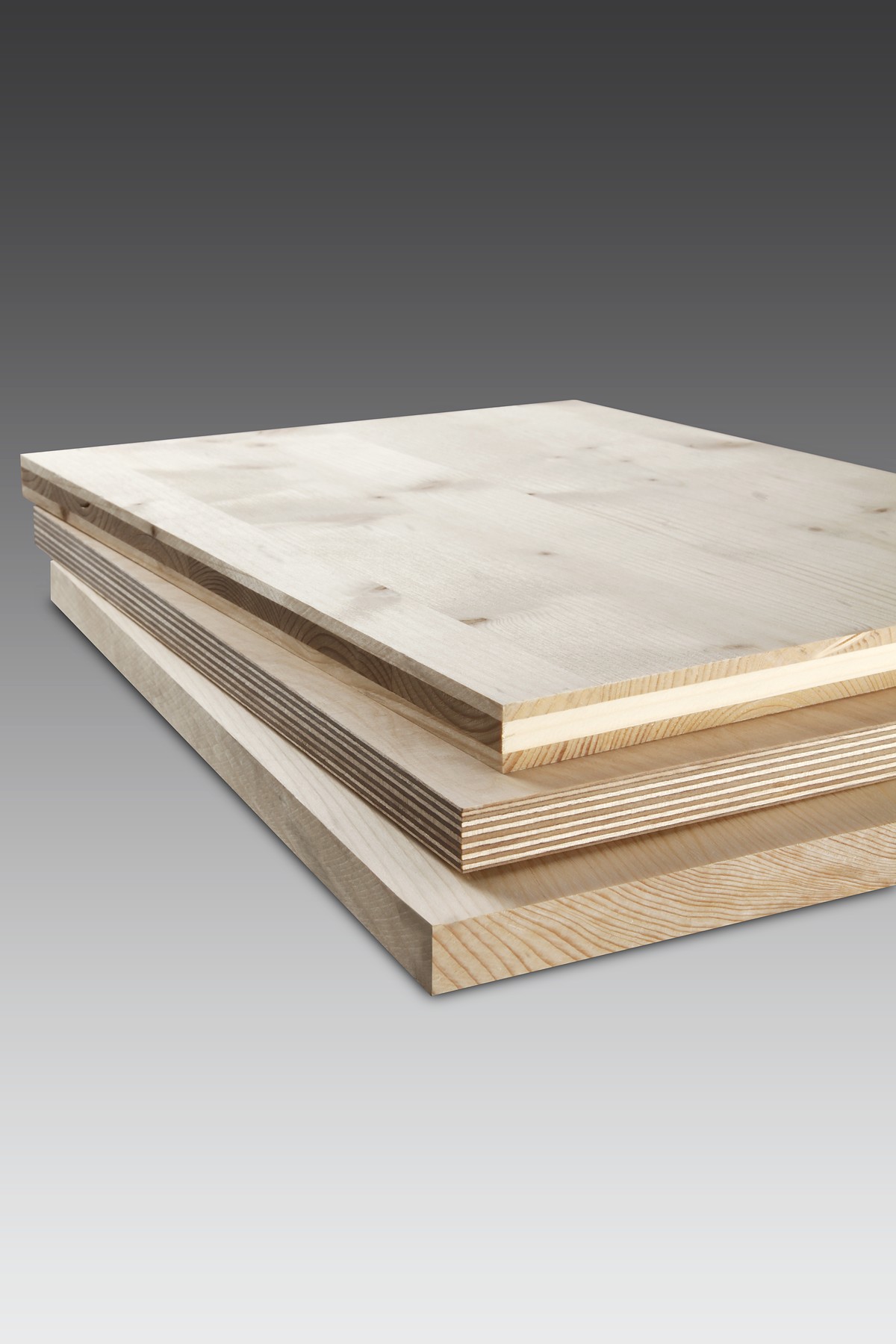 Hoja de sierra de calar HCS, T 308 BPPrecision for Wood