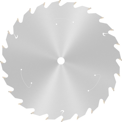 Hoja de sierra circular PRO Wood cordless, 165 x 1,5 x 10 mm, T24