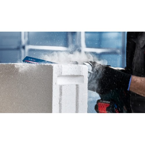 Hoja de sierra sable EXPERT ‘Aerated Concrete’ S 1141 HM, 10 unidades