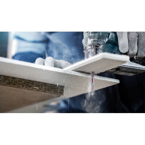 Hoja de sierra de calar EXPERT Fiber Plaster T141HM, 10 uds.