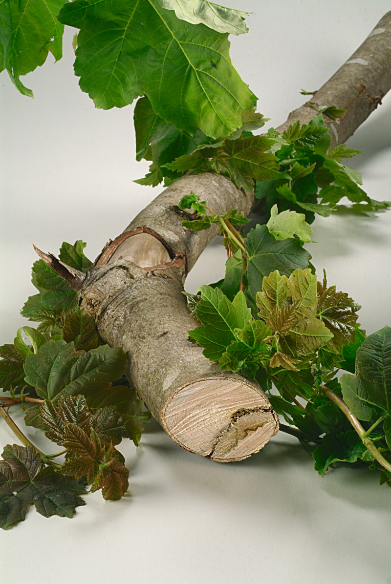 Set de 3 hojas de sierra sableS 3456 XF; S 2345 X; S 1131 L