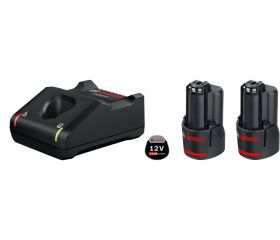Juego básico 2 GBA 12V 2.0Ah + GAL 12V-40