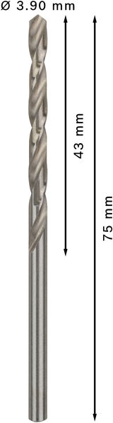 Broca helicoidal PRO Metal HSS-G, longitud estándar, 3,9 x 43 x 75 mm, 10 unidades
