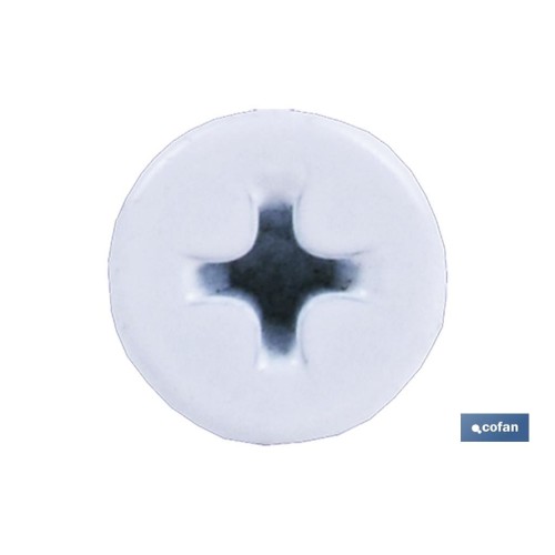 TORNILLO AUTOT. EXTRAPLANO 4,2 X 14 BLANCO