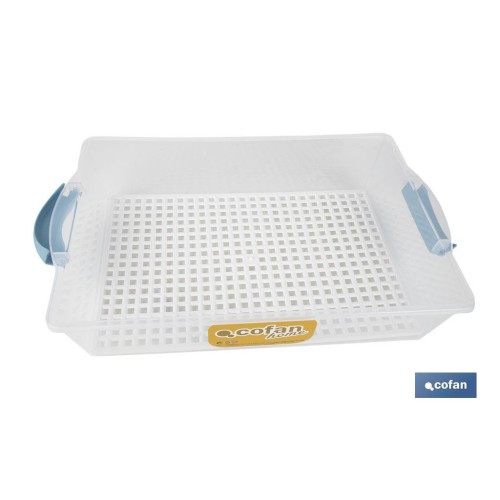 TARTERA RECTANGULAR AZUL OPACA PAVLOVA CON ASAS 38 X 28 X 13 CM