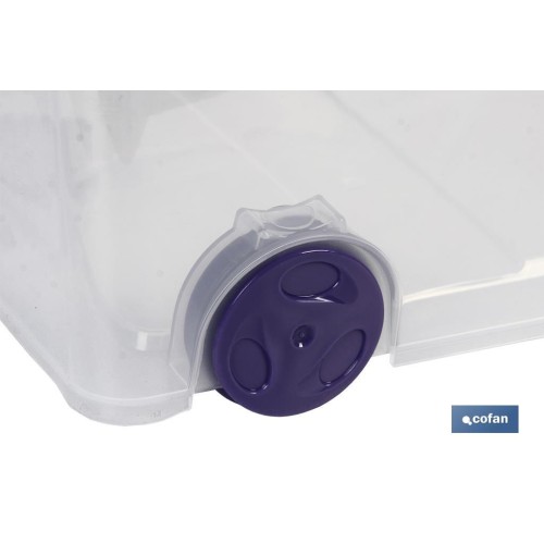 CAJA ORDENACION CON RUEDAS 30L MODELO RICORDI 73X41X18cm