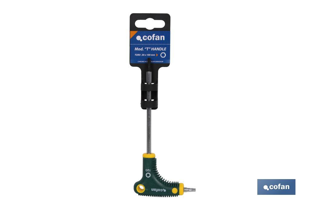 DESTORNILLADOR EN T DRIVER TORX 10X100