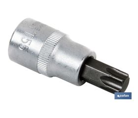 Llave de vaso de 1/2'' | Fabricada en acero al cromo vanadio de alta calidad | Con punta corta Torx 55