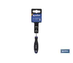 DESTORN. CR-MOLIBDENO PH-2X100