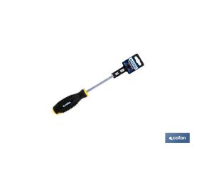 DESTORN. CR-MOLIBDENO C/HEX. PH-1X80