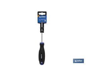 DESTORN. CR-MOLIBDENO SPANNER 10X100