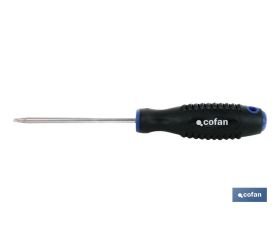 Destornillador Spanner doble punta | Modelo Comfort plus | Medida de huella desde 4 hasta 10