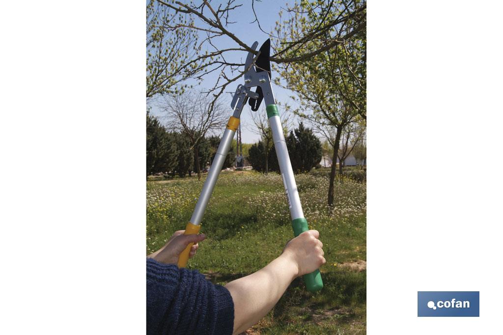 TIJERA PODA TELESCOPICA 25 - 38