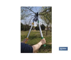 TIJERA PODA TELESCOPICA 25 - 38