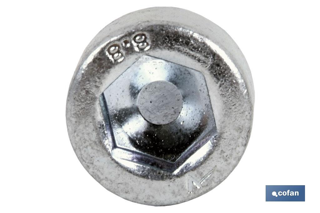 DIN-912 C-8.8    M-4 X 6 Z