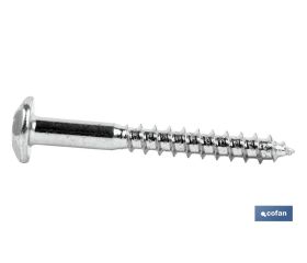 Tornillo Inviolable Torx-30