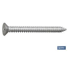 Tornillo Roscachapa Cabeza Avellanada Phillips Zincado