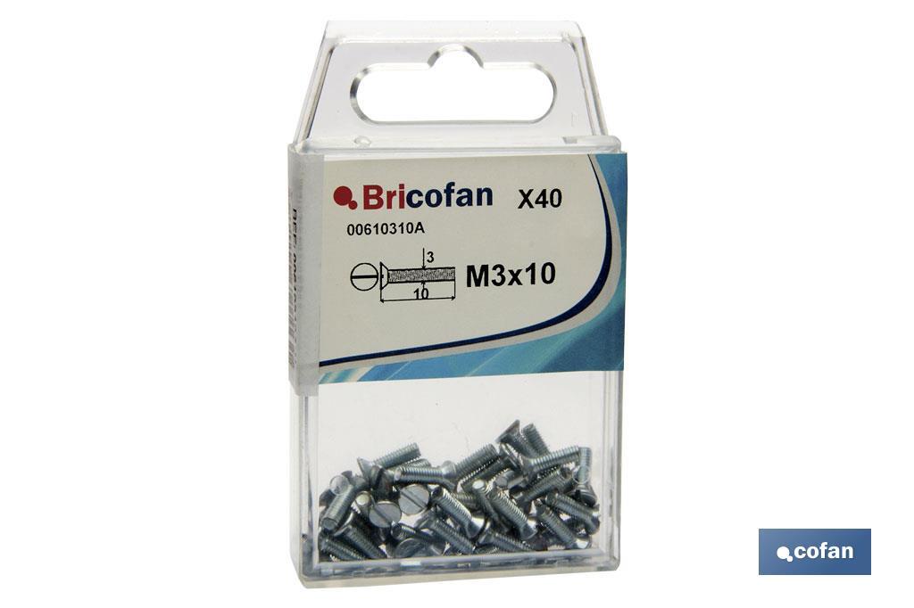 BL 40 UDS. DIN-963  M-3X10