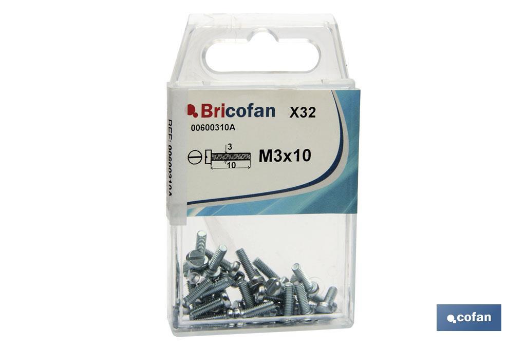 BL 32 UDS. DIN-84 M-3X10 Z