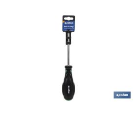 DESTORNILLADOR TORX 25 X 100