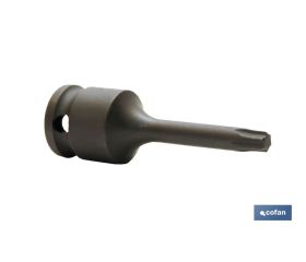 Vaso de impacto Torx de 1/2 | Modelo Macho | Disponible en varias medidas
