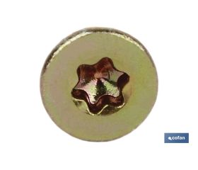 DIN 7505A TORX (T-30) M-6x120