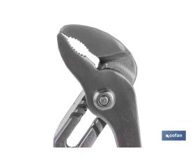 TENAZA PICO DE LORO L-12