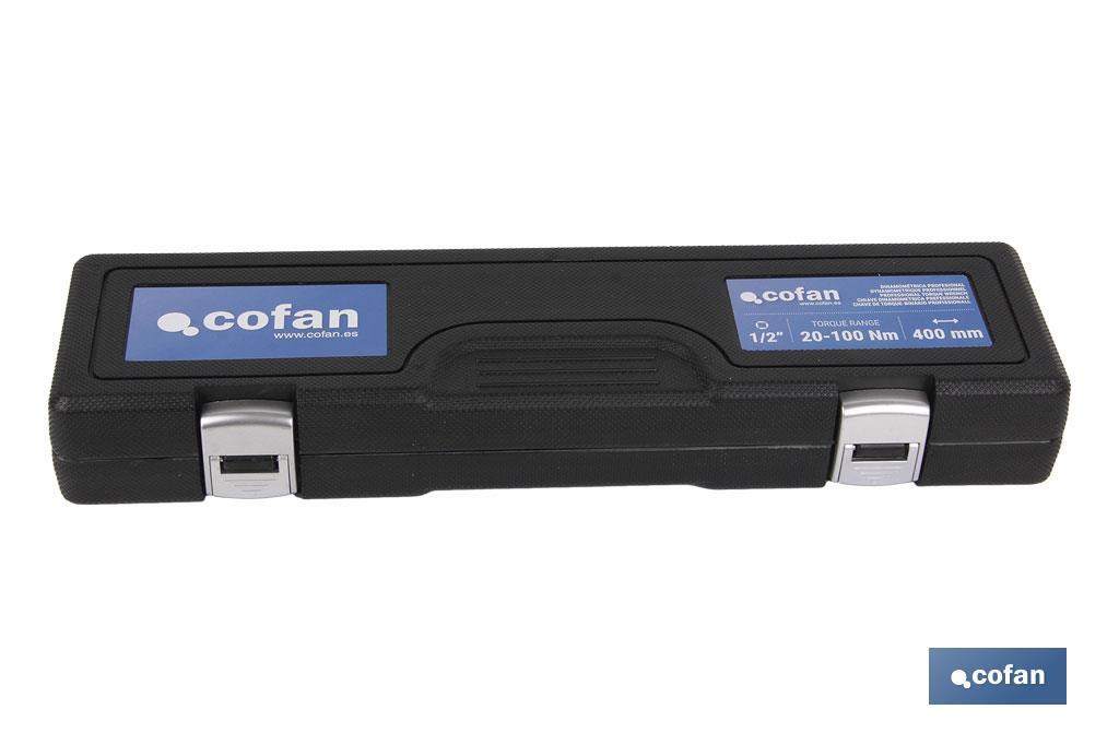 DINAMOMÉTRICA PROFESIONAL 3/8 (5-25Nm)