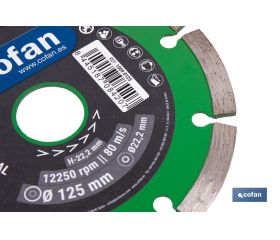 DISCO DIAM. UNIVERSAL BASICO 125 MM.