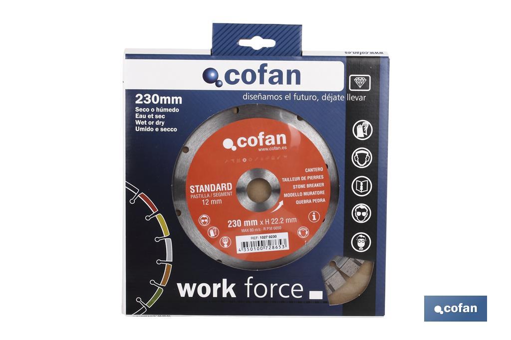 DISCO DIAMANTE CANTERO STANDARD H-10mm, 115mm