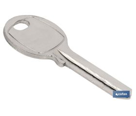 LLave Bruto Candado 50 MM