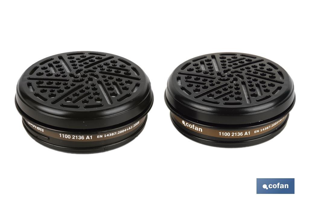 SET 2 FILTROS TIPO A1