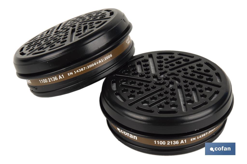 SET 2 FILTROS TIPO A1